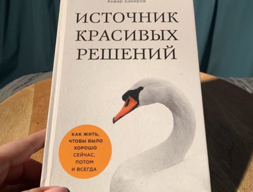 Книга Анвара Бакирова "Источник красивых решений"